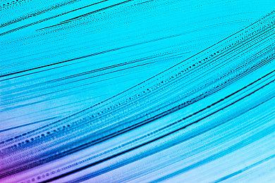 《我的世界》1.19版本“荒野更新” 6月7日正式上线